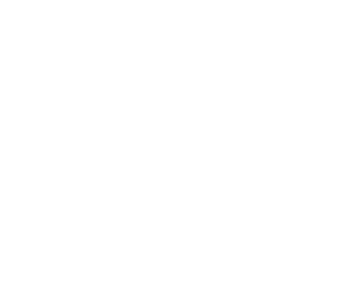 Targus citylite pro