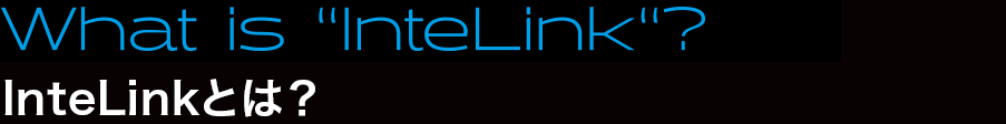 InteLinkとは?