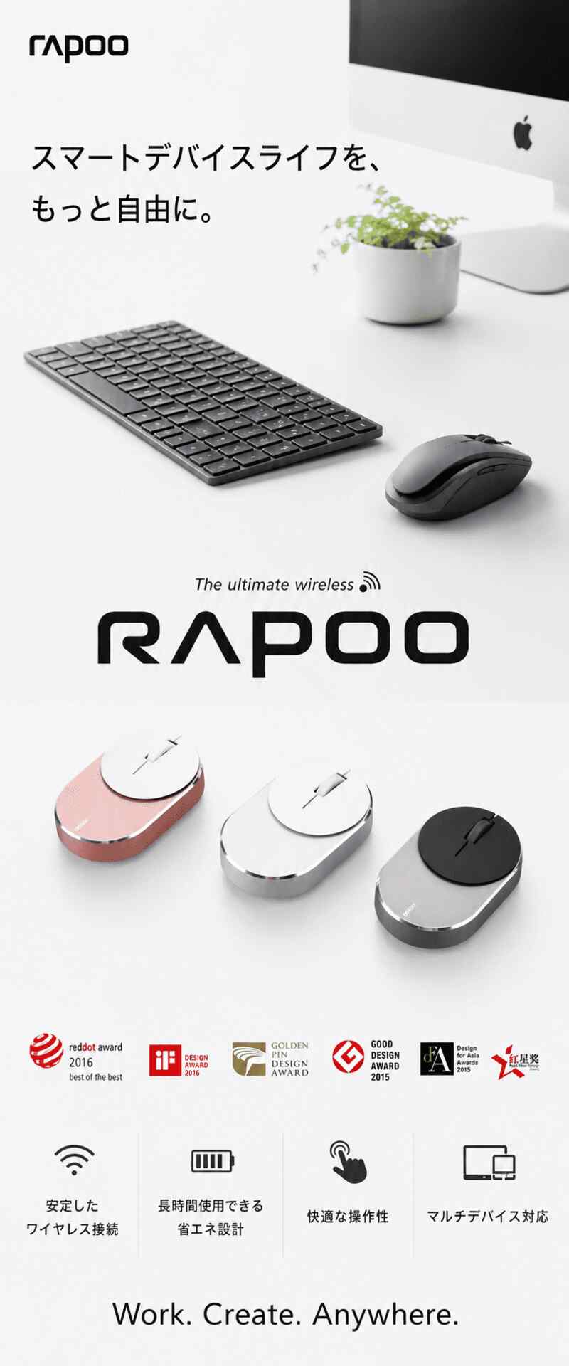 Rapoo